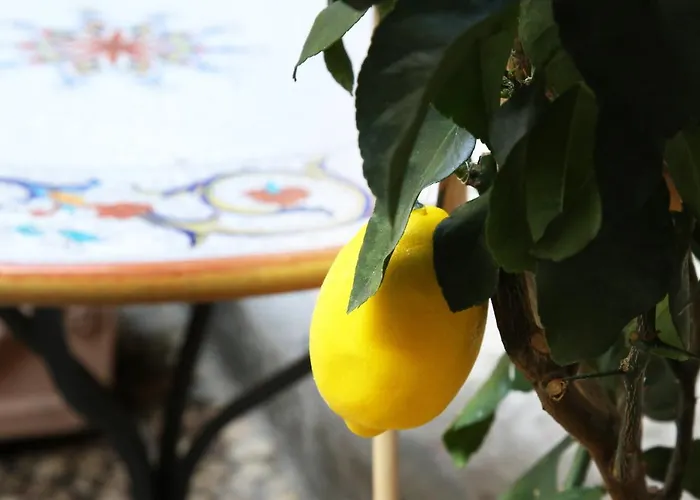 La Terrazza Dei Limoni