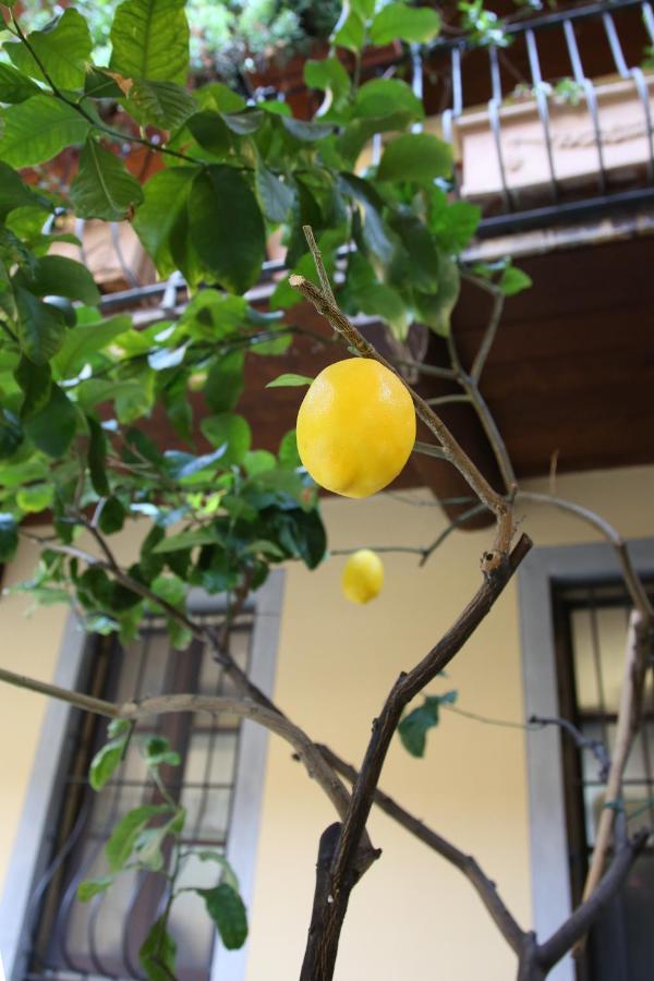 Apartamento La Terrazza Dei Limoni