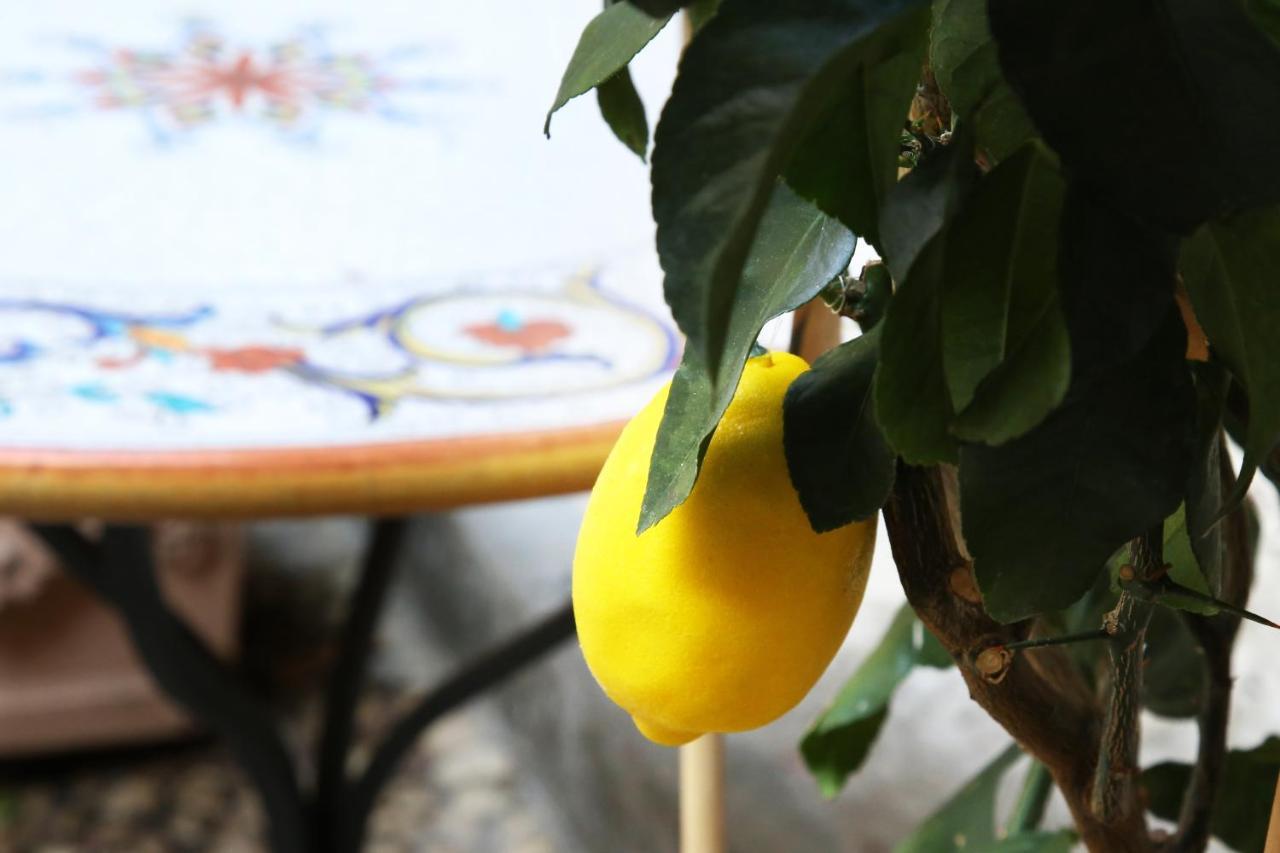 Apartamento La Terrazza Dei Limoni Seregno