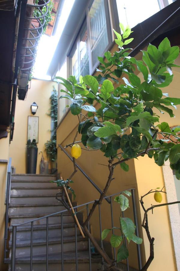 La Terrazza Dei Limoni *